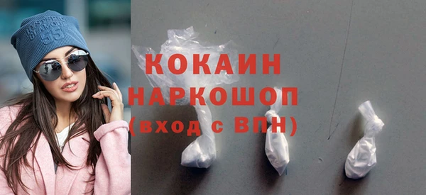 хмурый Аркадак