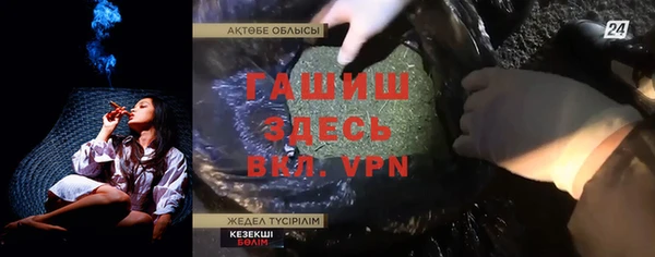 хмурый Аркадак