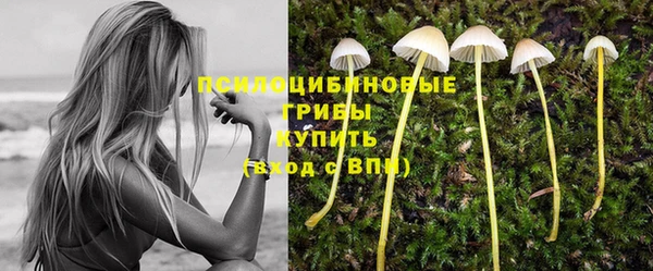 ECSTASY Балахна