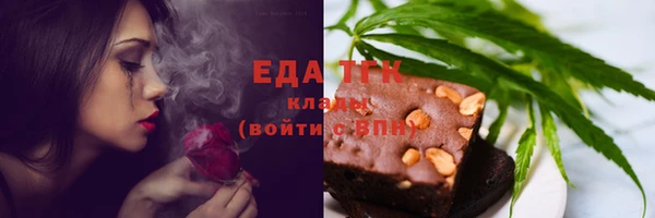 хмурый Аркадак