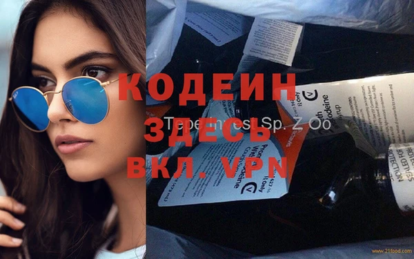 хмурый Аркадак