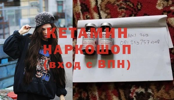 хмурый Аркадак
