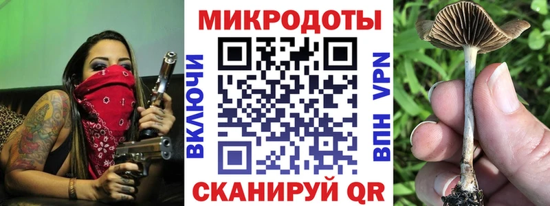 Псилоцибиновые грибы мицелий  где можно купить наркотик  Белокуриха 